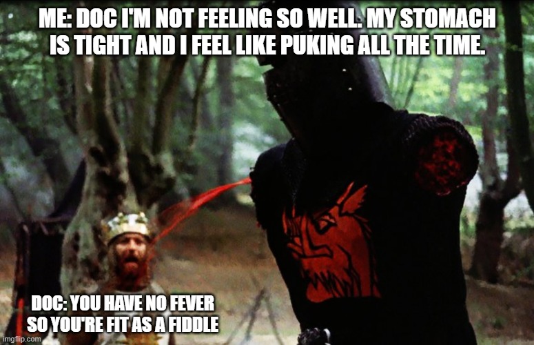 When you're sick in the military | ME: DOC I'M NOT FEELING SO WELL. MY STOMACH IS TIGHT AND I FEEL LIKE PUKING ALL THE TIME. DOC: YOU HAVE NO FEVER SO YOU'RE FIT AS A FIDDLE | image tagged in monty python black knight,sick,military,us navy,navy,doctor | made w/ Imgflip meme maker