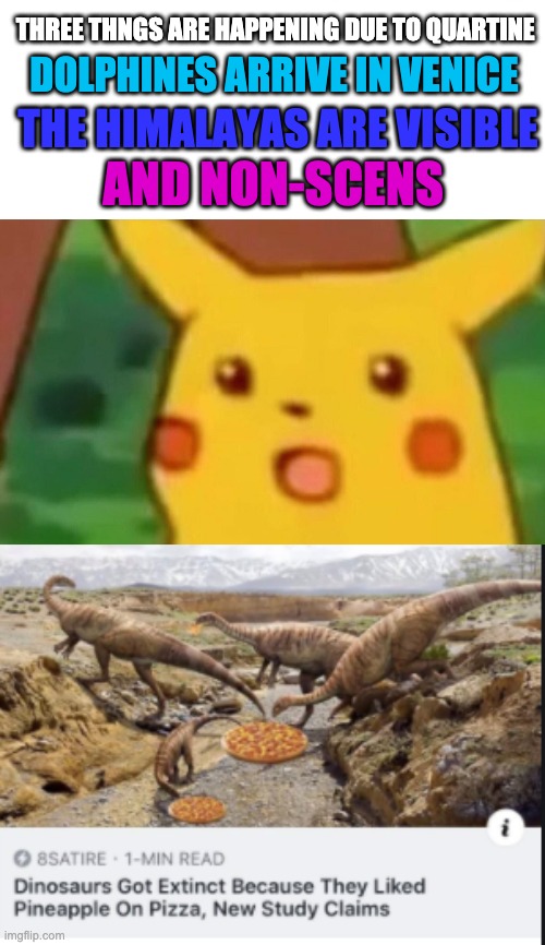 THREE THNGS ARE HAPPENING DUE TO QUARTINE; DOLPHINES ARRIVE IN VENICE; THE HIMALAYAS ARE VISIBLE; AND NON-SCENS | image tagged in memes,surprised pikachu | made w/ Imgflip meme maker