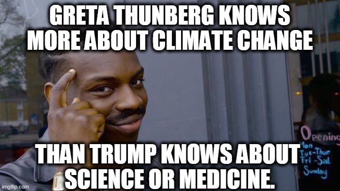 Roll Safe Think About It Meme | GRETA THUNBERG KNOWS MORE ABOUT CLIMATE CHANGE THAN TRUMP KNOWS ABOUT 
SCIENCE OR MEDICINE. | image tagged in memes,roll safe think about it | made w/ Imgflip meme maker