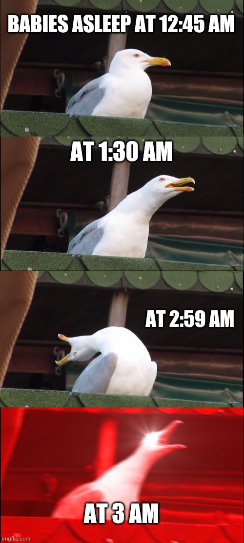 Inhaling Seagull Meme | BABIES ASLEEP AT 12:45 AM; AT 1:30 AM; AT 2:59 AM; AT 3 AM | image tagged in memes,inhaling seagull | made w/ Imgflip meme maker