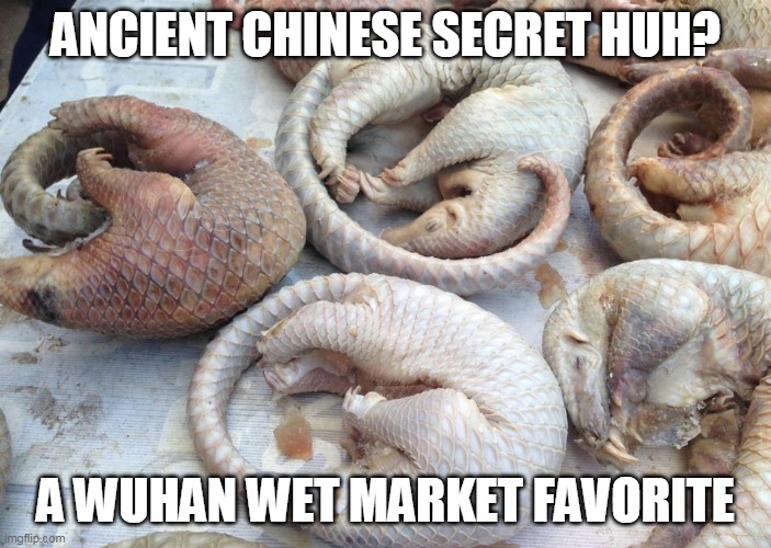 COVID all PANGOLIN | ANCIENT CHINESE SECRET HUH? A WUHAN WET MARKET FAVORITE | image tagged in covid all pangolin | made w/ Imgflip meme maker