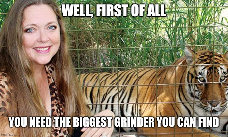 Carole Baskin | WELL, FIRST OF ALL; YOU NEED THE BIGGEST GRINDER YOU CAN FIND | image tagged in carole baskin | made w/ Imgflip meme maker