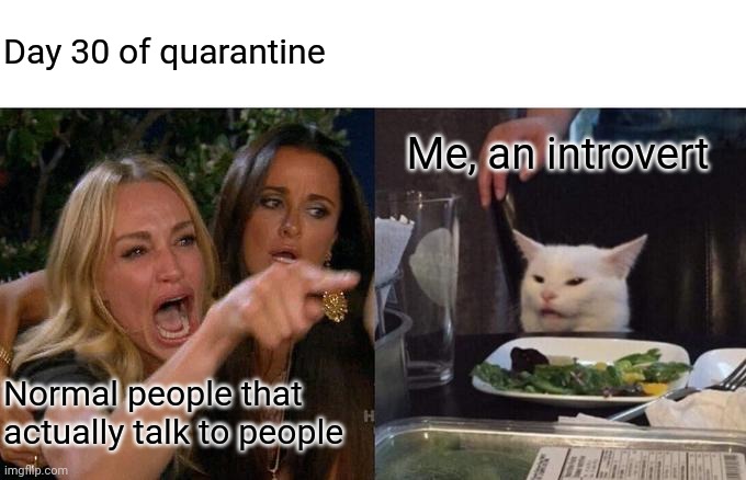 Woman Yelling At Cat | Day 30 of quarantine; Me, an introvert; Normal people that actually talk to people | image tagged in memes,woman yelling at cat | made w/ Imgflip meme maker