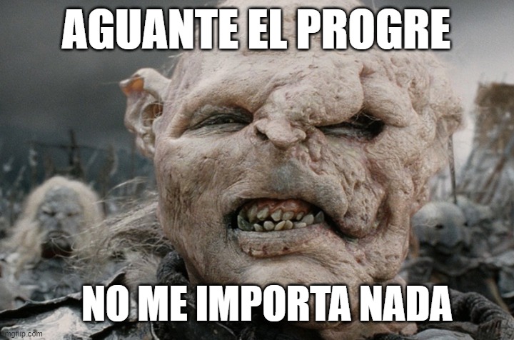 AGUANTE EL PROGRE; NO ME IMPORTA NADA | made w/ Imgflip meme maker