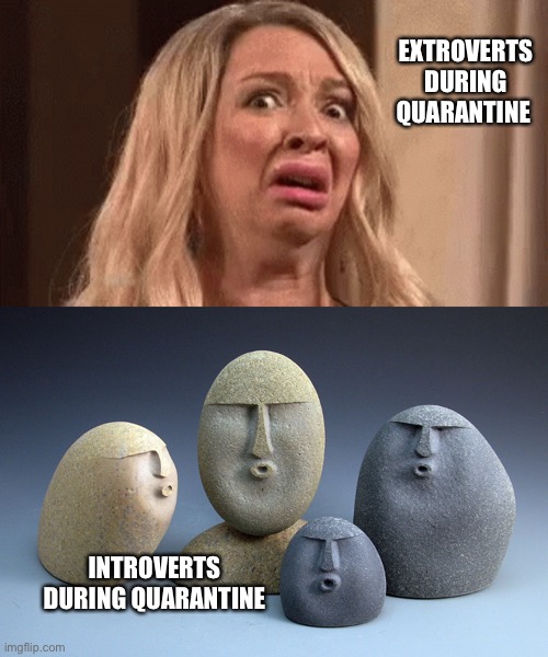 Now you know the struggle! | EXTROVERTS DURING QUARANTINE; INTROVERTS DURING QUARANTINE | image tagged in horrified face,oof stones | made w/ Imgflip meme maker