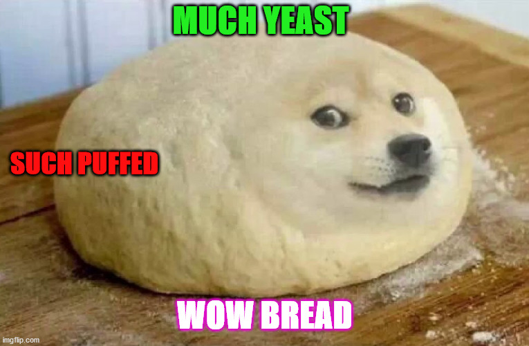 MUCH YEAST; SUCH PUFFED; WOW BREAD | image tagged in memes,doge,bread,puffed,yeast | made w/ Imgflip meme maker