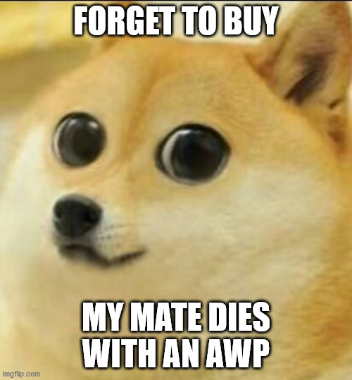 FORGET TO BUY; MY MATE DIES WITH AN AWP | image tagged in doge,csgo,awp | made w/ Imgflip meme maker