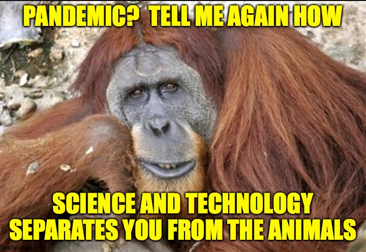 Creepy Condescending Monkey | PANDEMIC?  TELL ME AGAIN HOW; SCIENCE AND TECHNOLOGY SEPARATES YOU FROM THE ANIMALS | image tagged in creepy condescending monkey,memes,covid-19 | made w/ Imgflip meme maker