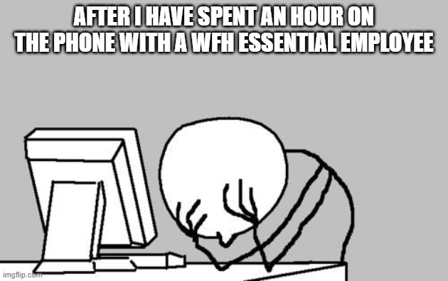IT Essential Employee | AFTER I HAVE SPENT AN HOUR ON THE PHONE WITH A WFH ESSENTIAL EMPLOYEE | image tagged in essential,nerd | made w/ Imgflip meme maker