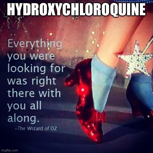 hydroxychloroquine. | HYDROXYCHLOROQUINE | image tagged in memes | made w/ Imgflip meme maker