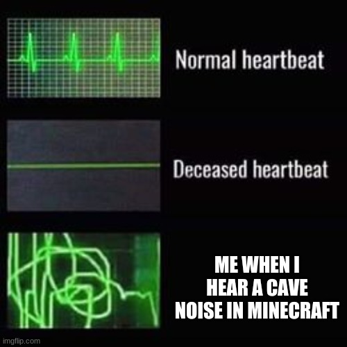 heartbeat rate | ME WHEN I HEAR A CAVE NOISE IN MINECRAFT | image tagged in heartbeat rate | made w/ Imgflip meme maker