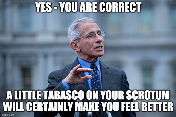 Fauci | YES - YOU ARE CORRECT; A LITTLE TABASCO ON YOUR SCROTUM WILL CERTAINLY MAKE YOU FEEL BETTER | image tagged in fauci | made w/ Imgflip meme maker