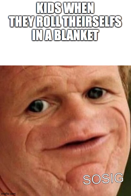 SOSIG | KIDS WHEN THEY ROLL THEIRSELFS IN A BLANKET; SOSIG | image tagged in sosig | made w/ Imgflip meme maker