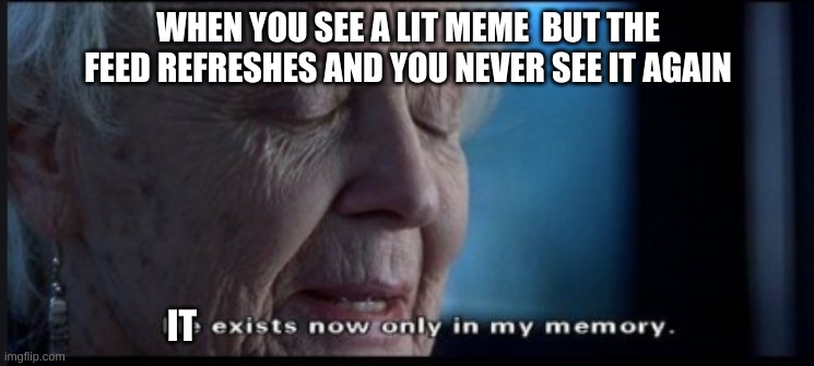 it exist now, only in my memeory | WHEN YOU SEE A LIT MEME  BUT THE FEED REFRESHES AND YOU NEVER SEE IT AGAIN; IT | image tagged in meanwhile on imgflip | made w/ Imgflip meme maker