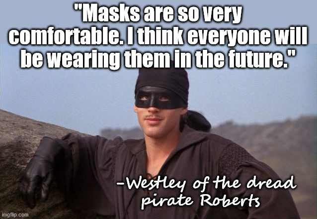 Masks will be the norm in the future. | "Masks are so very comfortable. I think everyone will be wearing them in the future."; -Westley of the dread 
    pirate Roberts | image tagged in dread pirate roberts,masks,in the future | made w/ Imgflip meme maker