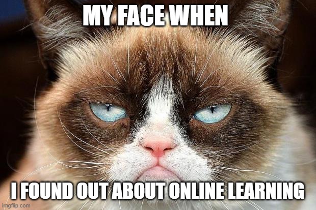 Grumpy Cat Not Amused | MY FACE WHEN; I FOUND OUT ABOUT ONLINE LEARNING | image tagged in memes,grumpy cat not amused,grumpy cat | made w/ Imgflip meme maker