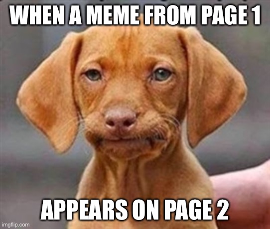 Frustrated dog | WHEN A MEME FROM PAGE 1; APPEARS ON PAGE 2 | image tagged in frustrated dog | made w/ Imgflip meme maker