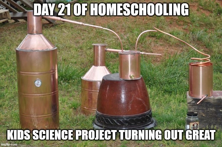 Science project | DAY 21 OF HOMESCHOOLING; KIDS SCIENCE PROJECT TURNING OUT GREAT | image tagged in quarantine,science | made w/ Imgflip meme maker