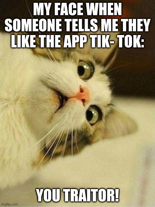 Scared Cat | MY FACE WHEN SOMEONE TELLS ME THEY LIKE THE APP TIK- TOK:; YOU TRAITOR! | image tagged in memes,scared cat | made w/ Imgflip meme maker