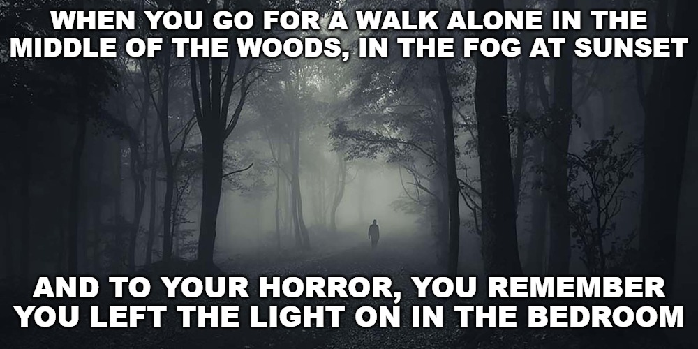 So wasteful and expensive. | WHEN YOU GO FOR A WALK ALONE IN THE MIDDLE OF THE WOODS, IN THE FOG AT SUNSET; AND TO YOUR HORROR, YOU REMEMBER YOU LEFT THE LIGHT ON IN THE BEDROOM | image tagged in memes,originalcontentonly,horror,spooky | made w/ Imgflip meme maker