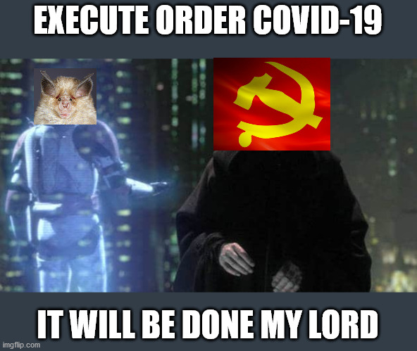 Execute Order X | EXECUTE ORDER COVID-19; IT WILL BE DONE MY LORD | image tagged in execute order x | made w/ Imgflip meme maker