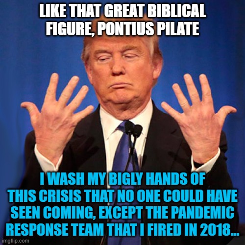 Trump hands | LIKE THAT GREAT BIBLICAL FIGURE, PONTIUS PILATE; I WASH MY BIGLY HANDS OF THIS CRISIS THAT NO ONE COULD HAVE SEEN COMING, EXCEPT THE PANDEMIC RESPONSE TEAM THAT I FIRED IN 2018... | image tagged in trump hands | made w/ Imgflip meme maker