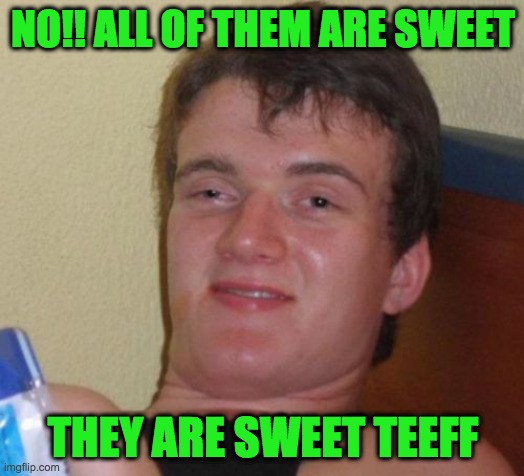 10 Guy Meme | NO!! ALL OF THEM ARE SWEET THEY ARE SWEET TEEFF | image tagged in memes,10 guy | made w/ Imgflip meme maker