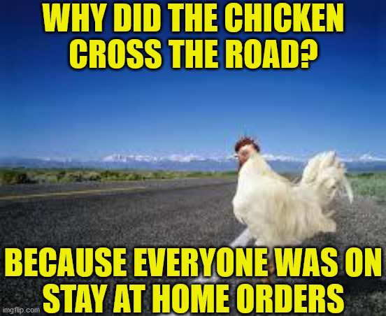 Why did the Chicken Cross the Road? |  WHY DID THE CHICKEN
CROSS THE ROAD? BECAUSE EVERYONE WAS ON
STAY AT HOME ORDERS | image tagged in why the chicken cross the road,memes,stay at home,coronavirus,change my mind,marked safe from | made w/ Imgflip meme maker