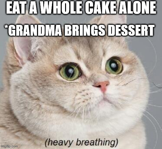 Heavy Breathing Cat Meme | EAT A WHOLE CAKE ALONE; *GRANDMA BRINGS DESSERT | image tagged in memes,heavy breathing cat,grandma,food | made w/ Imgflip meme maker