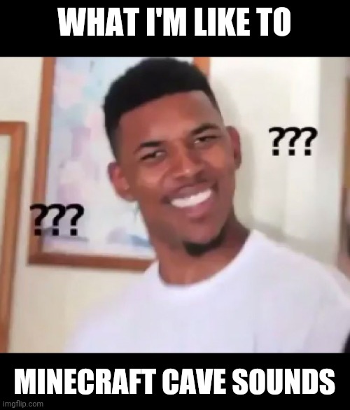 what the fuck n*gga wtf | WHAT I'M LIKE TO MINECRAFT CAVE SOUNDS | image tagged in what the fuck ngga wtf | made w/ Imgflip meme maker