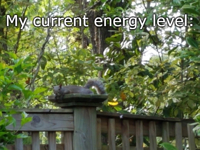My current energy level: | image tagged in energy level,fatigue,squirrel,tired squirrel | made w/ Imgflip meme maker