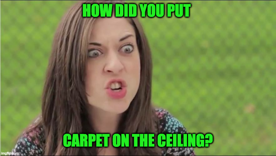 HOW DID YOU PUT CARPET ON THE CEILING? | image tagged in internet outrage becky | made w/ Imgflip meme maker