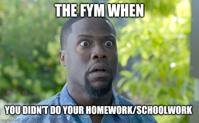 when you forgot about your homework | THE FYM WHEN; YOU DIDN'T DO YOUR HOMEWORK/SCHOOLWORK | image tagged in when you forgot about your homework | made w/ Imgflip meme maker