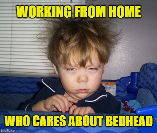 Covid-19 means never having to care about bedhead for work. |  WORKING FROM HOME; WHO CARES ABOUT BEDHEAD | image tagged in monday mornings,memes,covid-19,social distancing,bad hair day | made w/ Imgflip meme maker
