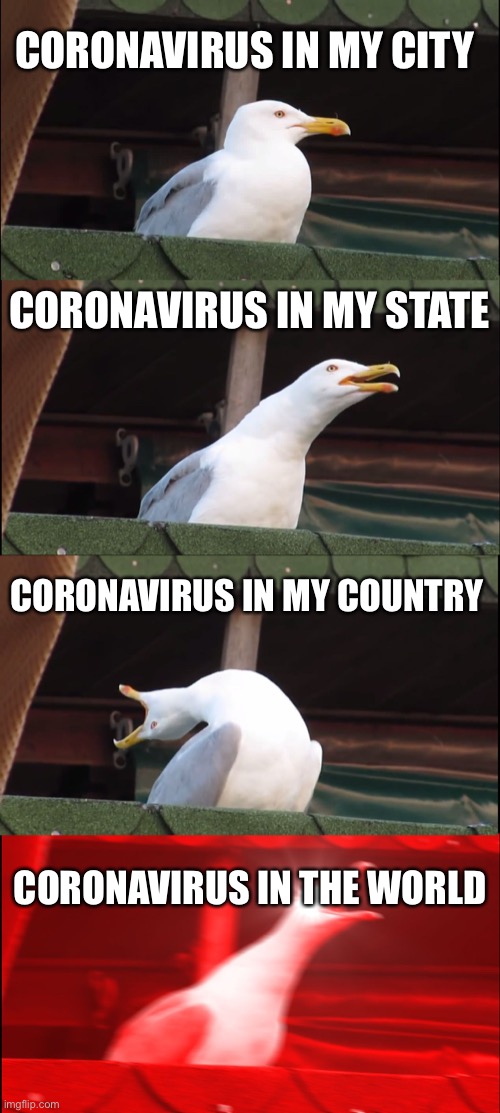 Inhaling Seagull Meme | CORONAVIRUS IN MY CITY; CORONAVIRUS IN MY STATE; CORONAVIRUS IN MY COUNTRY; CORONAVIRUS IN THE WORLD | image tagged in memes,inhaling seagull | made w/ Imgflip meme maker