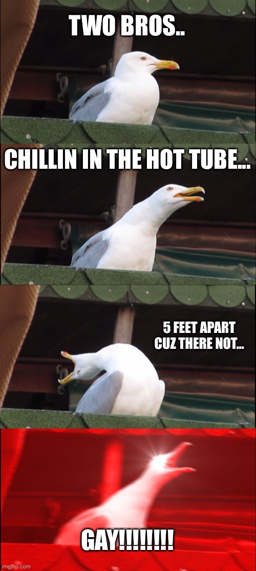 Inhaling Seagull | TWO BROS.. CHILLIN IN THE HOT TUBE... 5 FEET APART CUZ THERE NOT... GAY!!!!!!!! | image tagged in memes,inhaling seagull | made w/ Imgflip meme maker