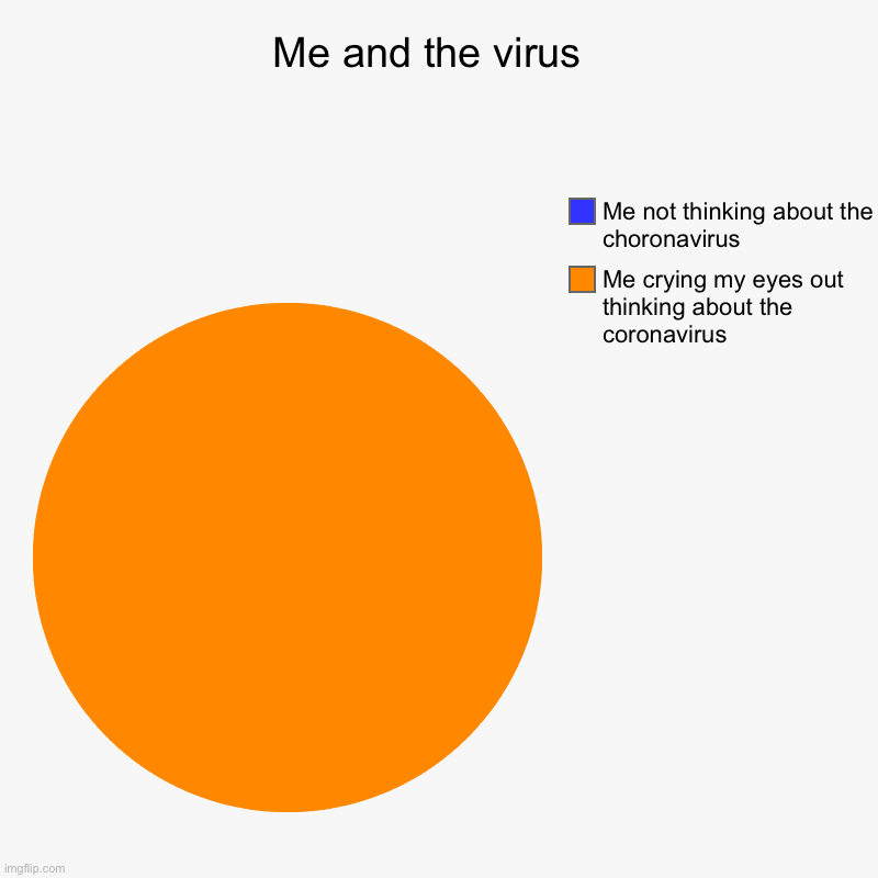 Me and the virus  | Me crying my eyes out thinking about the coronavirus, Me not thinking about the choronavirus | image tagged in charts,pie charts | made w/ Imgflip chart maker