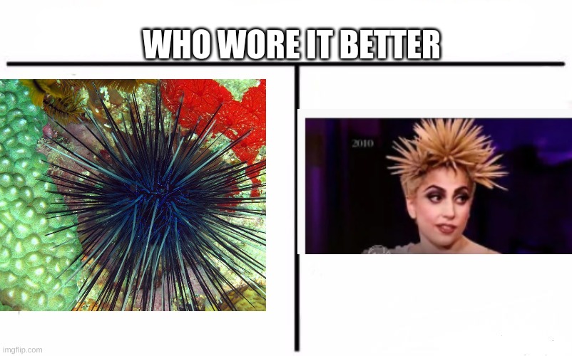 Who Would Win? Meme | WHO WORE IT BETTER | image tagged in memes,who would win | made w/ Imgflip meme maker