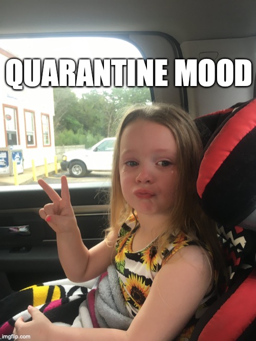 QUARANTINE MOOD | image tagged in quarantine,coronavirus,cry | made w/ Imgflip meme maker