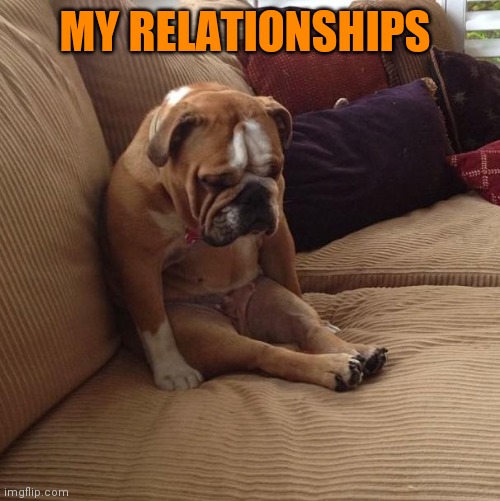 bulldogsad | MY RELATIONSHIPS | image tagged in bulldogsad | made w/ Imgflip meme maker