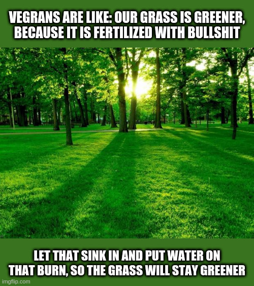 Greener grass | VEGRANS ARE LIKE: OUR GRASS IS GREENER, BECAUSE IT IS FERTILIZED WITH BULLSHIT LET THAT SINK IN AND PUT WATER ON THAT BURN, SO THE GRASS WIL | image tagged in greener grass | made w/ Imgflip meme maker