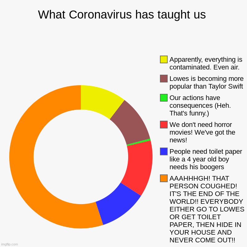 What Coronavirus has taught us | AAAHHHGH! THAT PERSON COUGHED! IT'S THE END OF THE WORLD!! EVERYBODY EITHER GO TO LOWES OR GET TOILET PAPER | image tagged in charts,donut charts | made w/ Imgflip chart maker