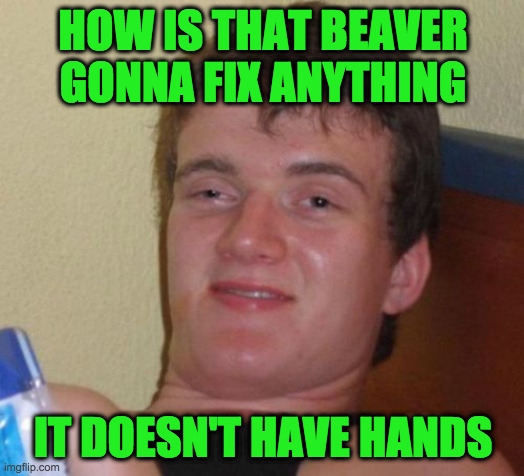 10 Guy Meme | HOW IS THAT BEAVER GONNA FIX ANYTHING IT DOESN'T HAVE HANDS | image tagged in memes,10 guy | made w/ Imgflip meme maker