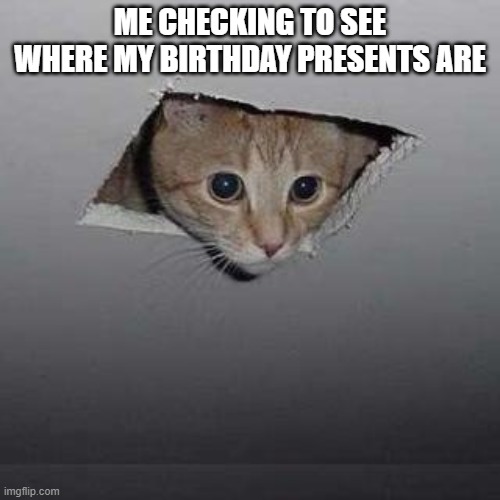 Ceiling Cat | ME CHECKING TO SEE WHERE MY BIRTHDAY PRESENTS ARE | image tagged in memes,ceiling cat | made w/ Imgflip meme maker