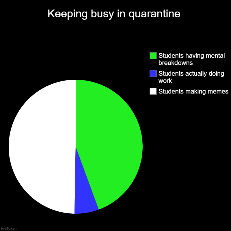 Keeping busy in quarantine | Students making memes, Students actually doing work, Students having mental breakdowns | image tagged in charts,pie charts | made w/ Imgflip chart maker