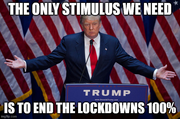 #ReopenAmerica | THE ONLY STIMULUS WE NEED; IS TO END THE LOCKDOWNS 100% | image tagged in donald trump,reopen america | made w/ Imgflip meme maker