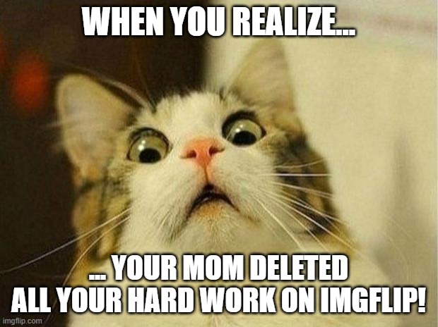 Scared Cat | WHEN YOU REALIZE... ... YOUR MOM DELETED ALL YOUR HARD WORK ON IMGFLIP! | image tagged in memes,scared cat | made w/ Imgflip meme maker