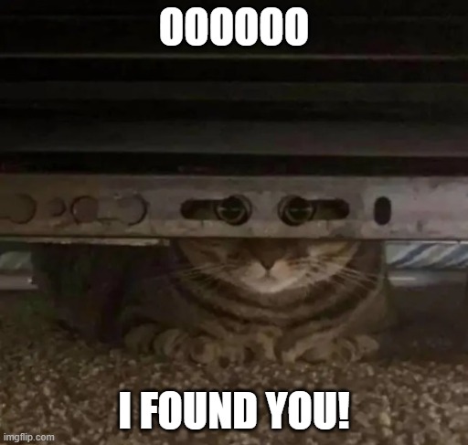 OOOOOO; I FOUND YOU! | image tagged in cat,look at me,spying | made w/ Imgflip meme maker