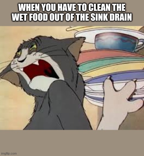 tom and jerry | WHEN YOU HAVE TO CLEAN THE WET FOOD OUT OF THE SINK DRAIN | image tagged in tom and jerry | made w/ Imgflip meme maker