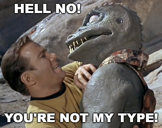 HELL NO! YOU'RE NOT MY TYPE! | made w/ Imgflip meme maker